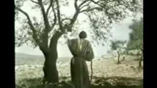 Los Profetas de la Biblia