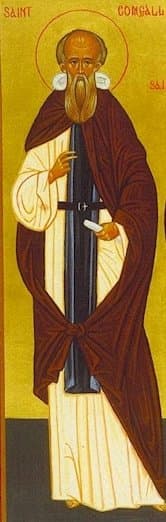 San Comgall, abad