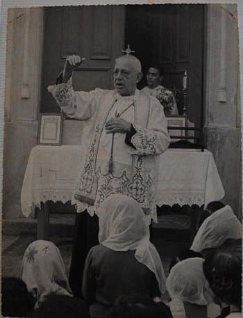Beato Donizetti Tavares de Lima, presbítero