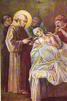 San Teófilo de Corte, religioso presbítero
