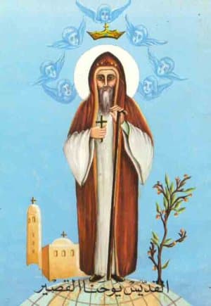 San Juan de Licópolis, eremita